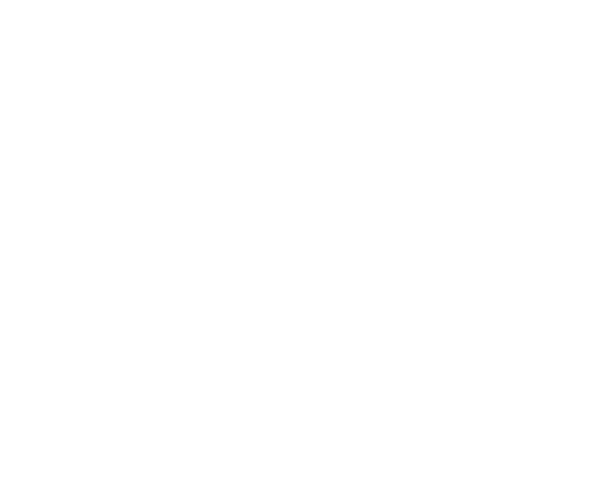 Palisade Logo